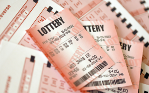 win win lottery result